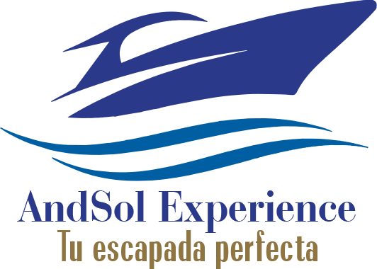 ANDSOL EXPERIENCE